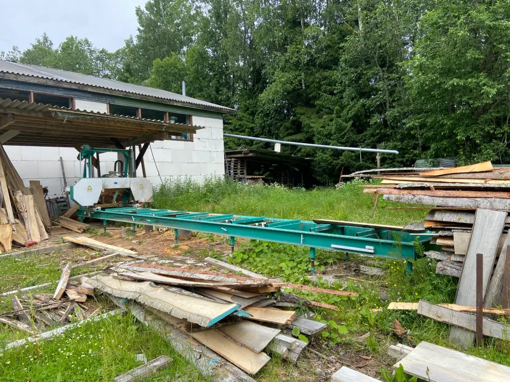 IMG_3741 (Medium).webp