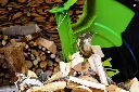 004_zi-wp700tn.webp